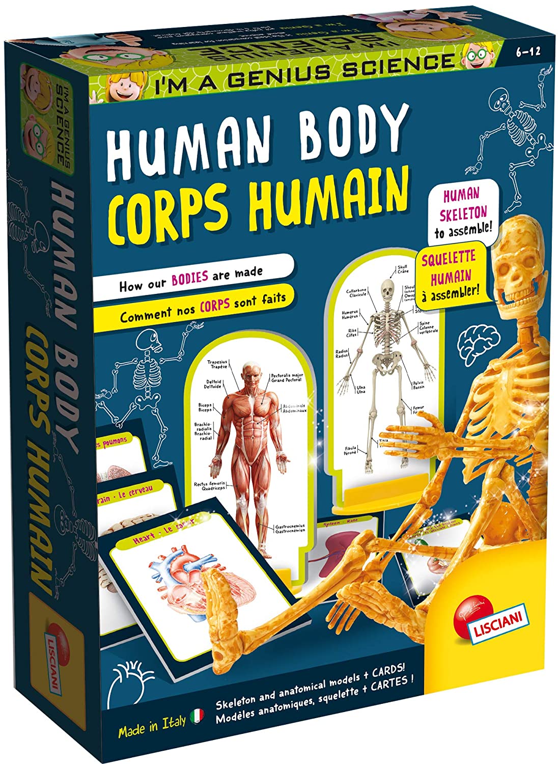 I'm a Genius Human Body - LISCIANI
