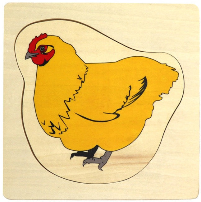 Montessori Animal Life Cycle Layer Puzzles