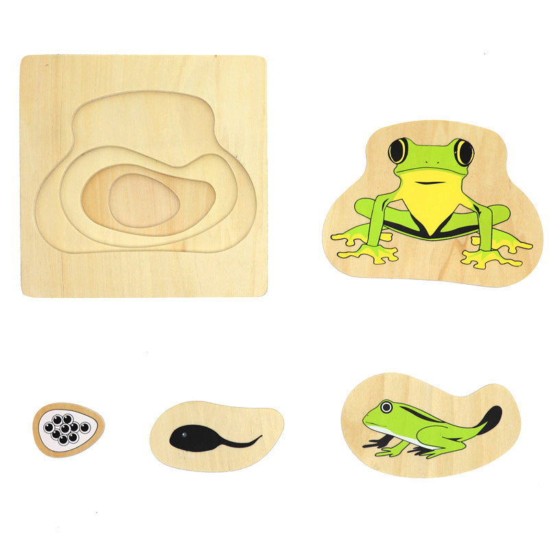 Montessori Animal Life Cycle Layer Puzzles