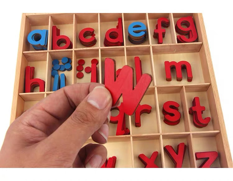 Montessori Moveable Alphabet Box 155 Alphabets included.