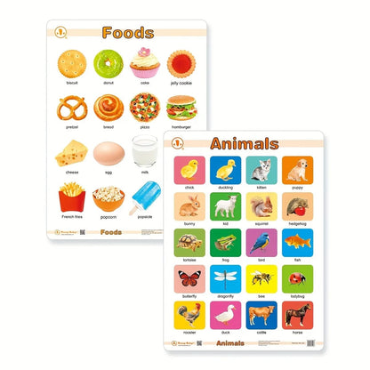 12in1 Object Recognition Education Posters with Erasable Board