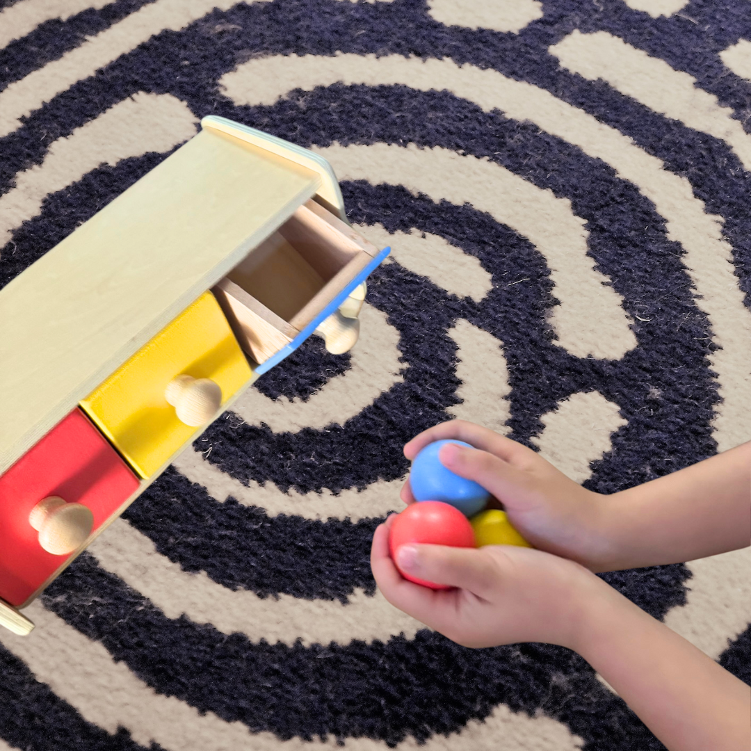 Montessori Box with Bin Toddler Activity Toy