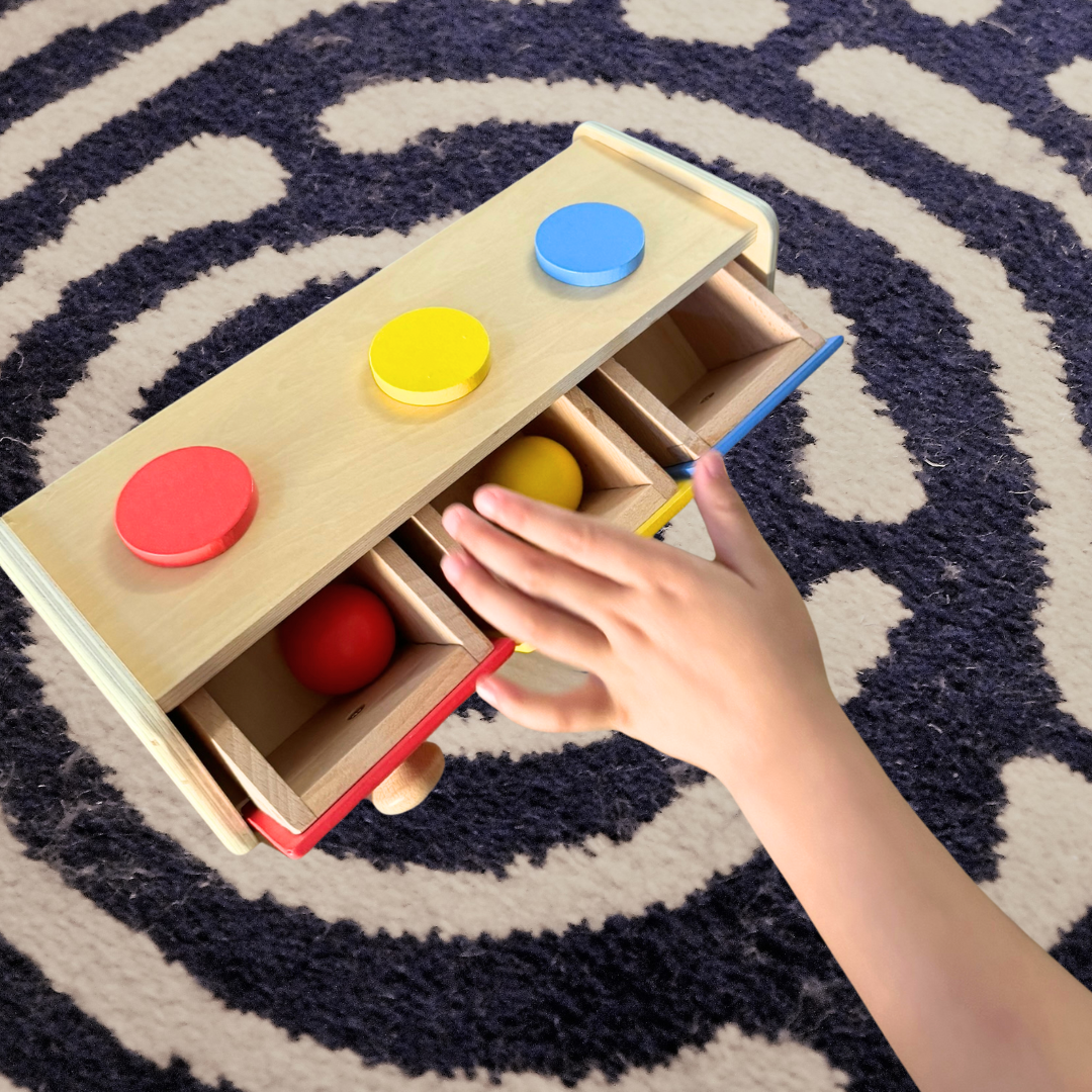 Montessori Box with Bin Toddler Activity Toy