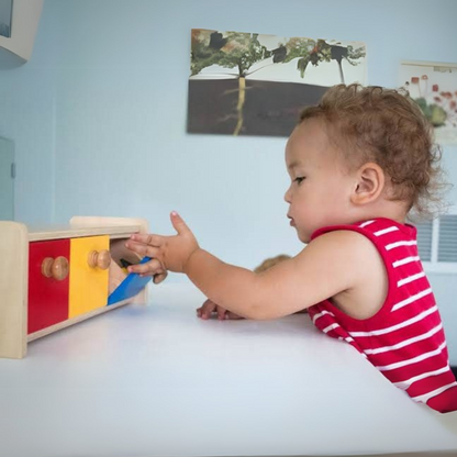 Montessori Box with Bin Toddler Activity Toy