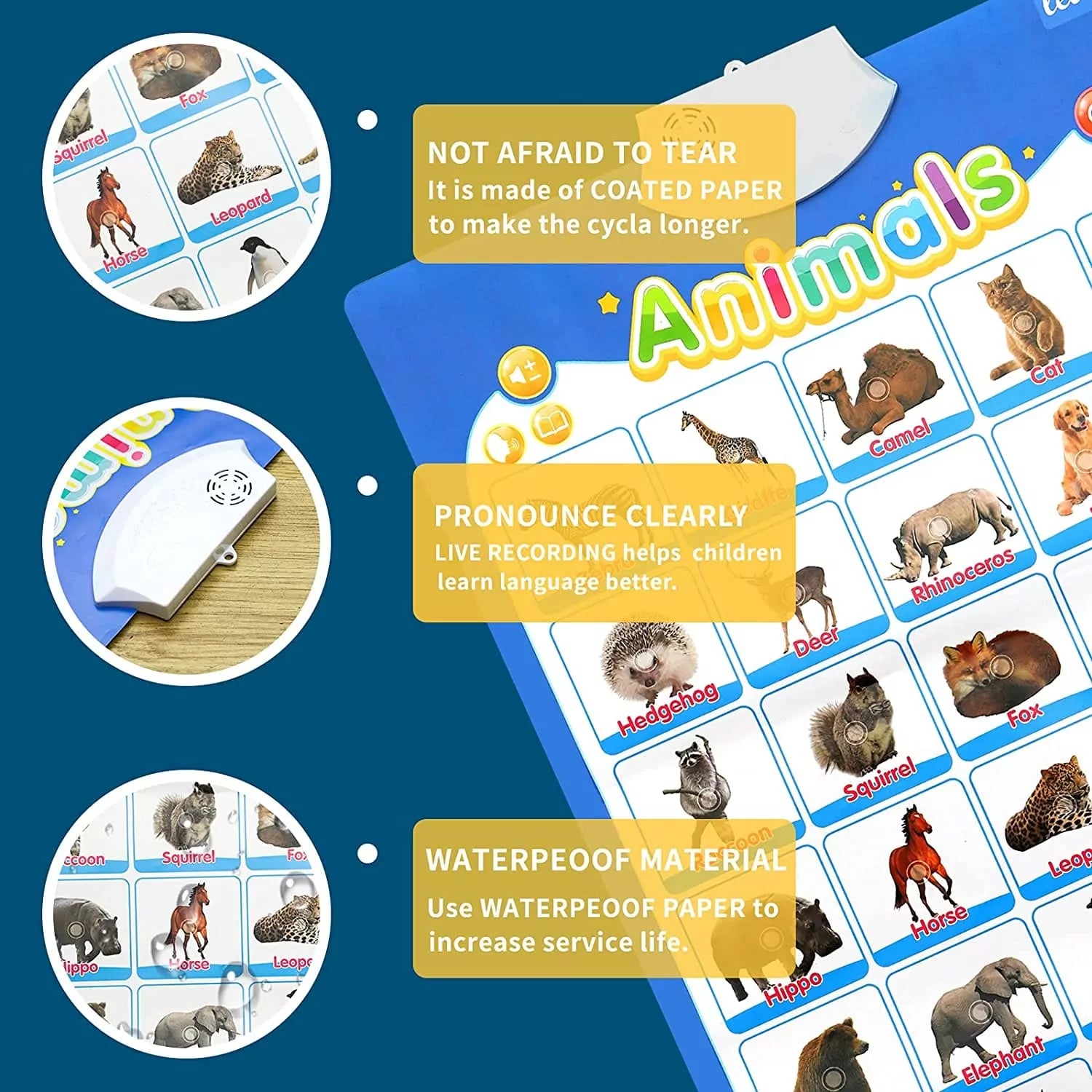 Animals Recognition Chart with Sound for Kids - 906