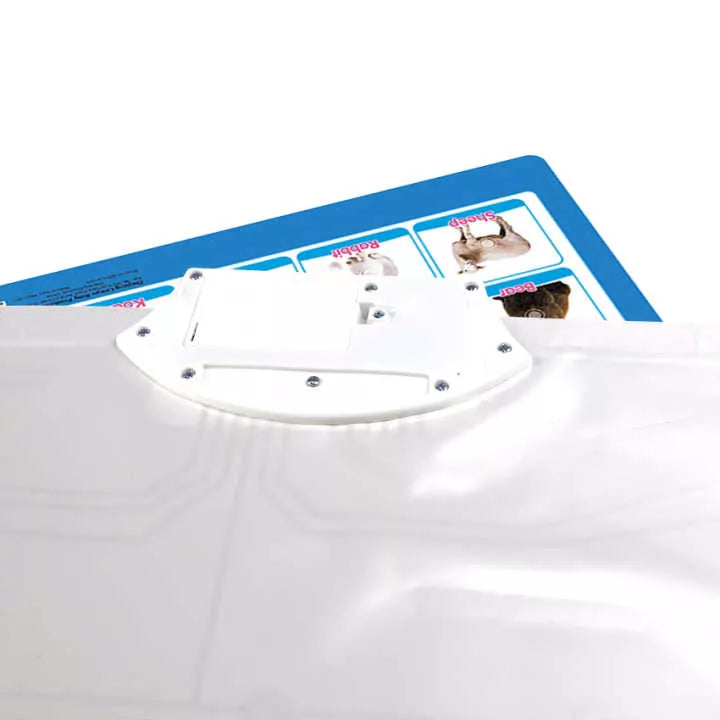 Animals Recognition Chart with Sound for Kids - 906