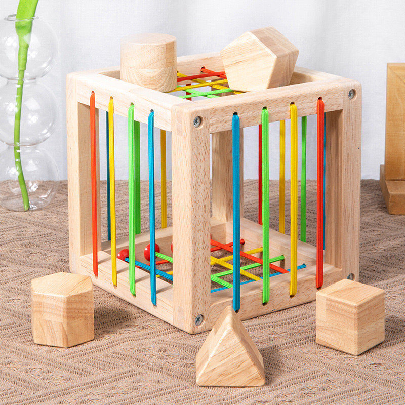 Wooden Shape Insert Box - Best Fine Motor Skill Toy