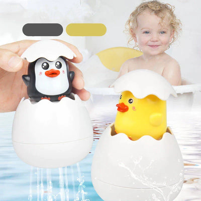 Pato Esplendoroso