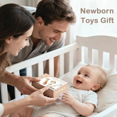 Baby Rattles and Teething Toys Set for Newborns 0–6 Months