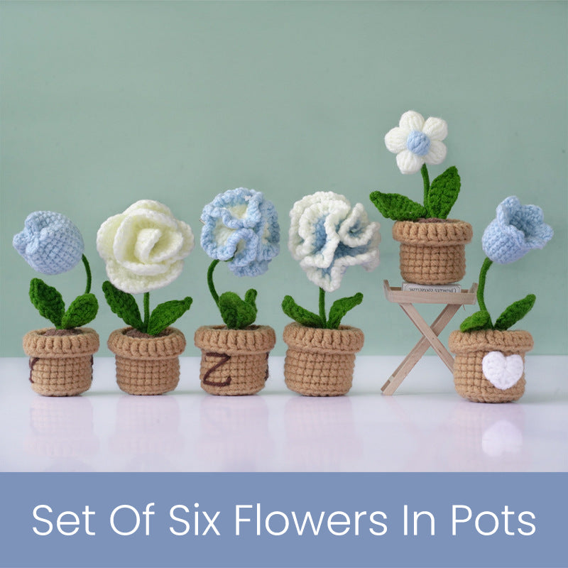 Flower Pot Set Crochet Kit