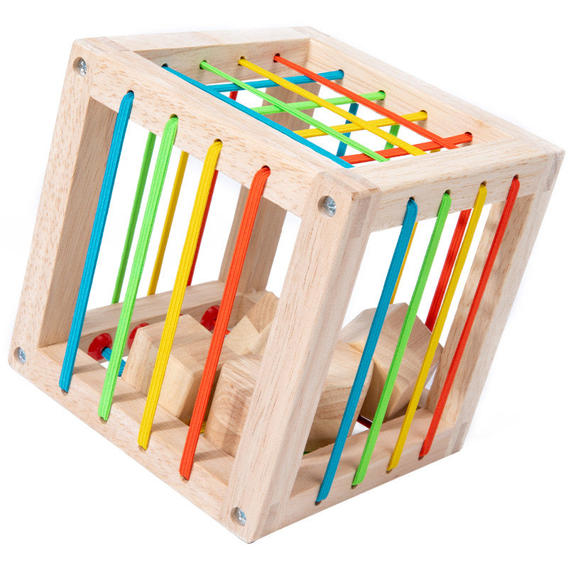 Wooden Shape Insert Box - Best Fine Motor Skill Toy