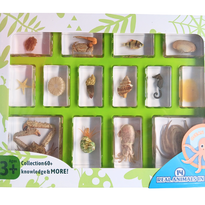 14 Marine Life Ocean Sea Animals King Crab Octopus  Specimens Resin Epoxy Large Gift Pack
