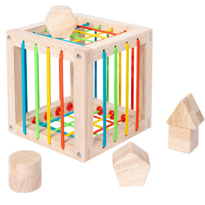 Wooden Shape Insert Box - Best Fine Motor Skill Toy