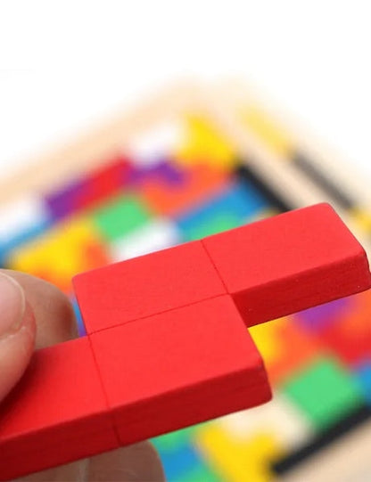 Wooden Intelligence Puzzle - EKT0528