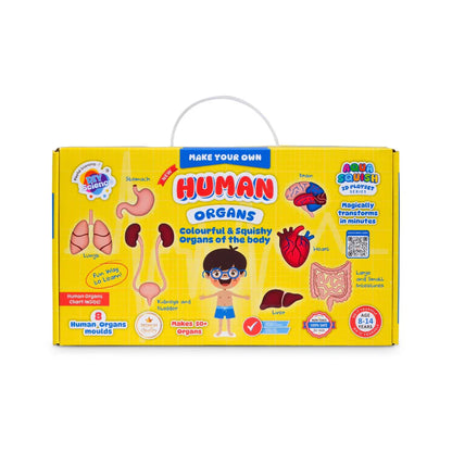Human Organs Aqua Squish Kit for Kids 100% Safe & Non Toxic - EKT3665