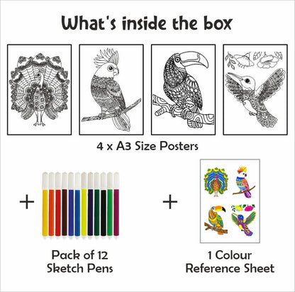 Doodle Coloring Kit - 4 *A3 Size Posters - Birds - EKT3704