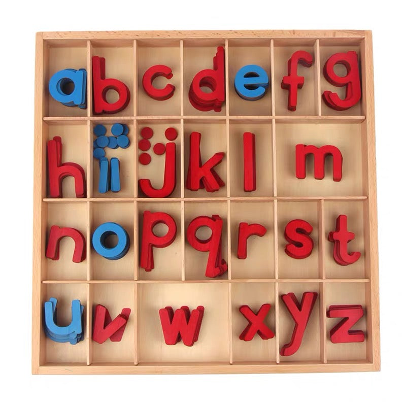Montessori Moveable Alphabet Box 155 Alphabets included.