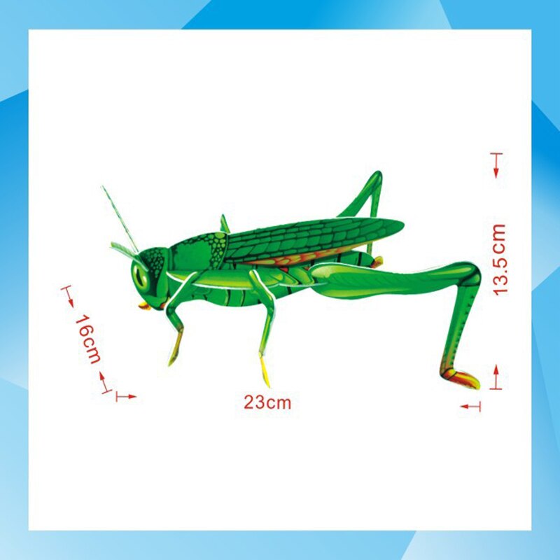 Insect Cognitive Baby Toys