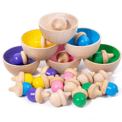 Colour Sorting Gumnuts and Bowls with Tools