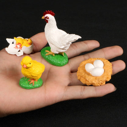 Chicken Life Cycle Toy  of Hens Life Expectancy Model Figurines