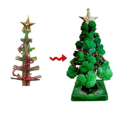 GrowTree™ - ¡Cultiva tu propio árbol de Navidad! - Kit de cultivo de árboles de Navidad (1+1 GRATIS)