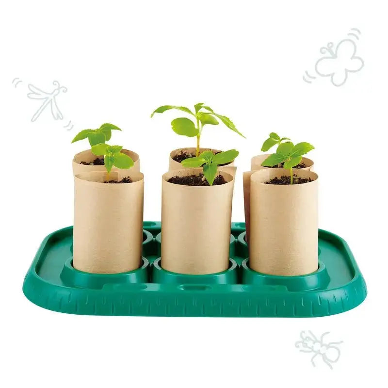 Kit scientifique Fidtoy pour faire pousser des plantes en serre pour enfants