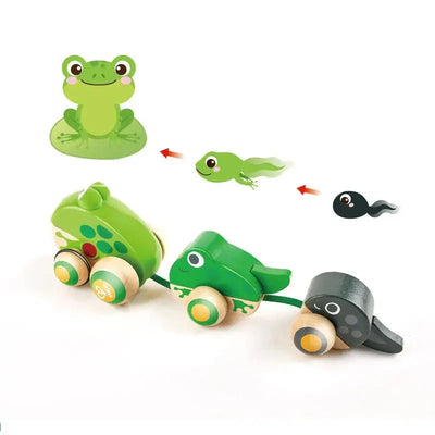 Fidtoy Grenouille à Tirer en Bois pour les Tout-Petits 12M+