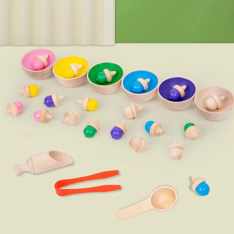 Colour Sorting Gumnuts and Bowls with Tools