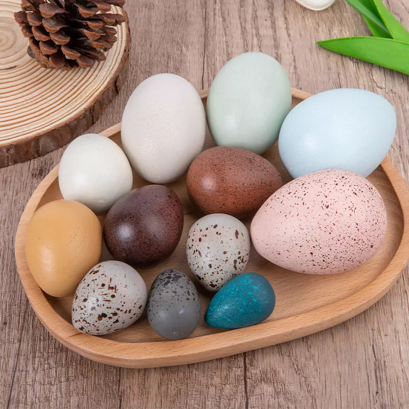 Wooden Eggs Bird Eggs
