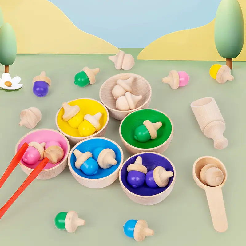 Colour Sorting Gumnuts and Bowls with Tools