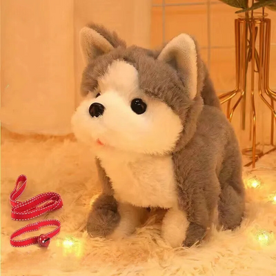 CopainJappeur