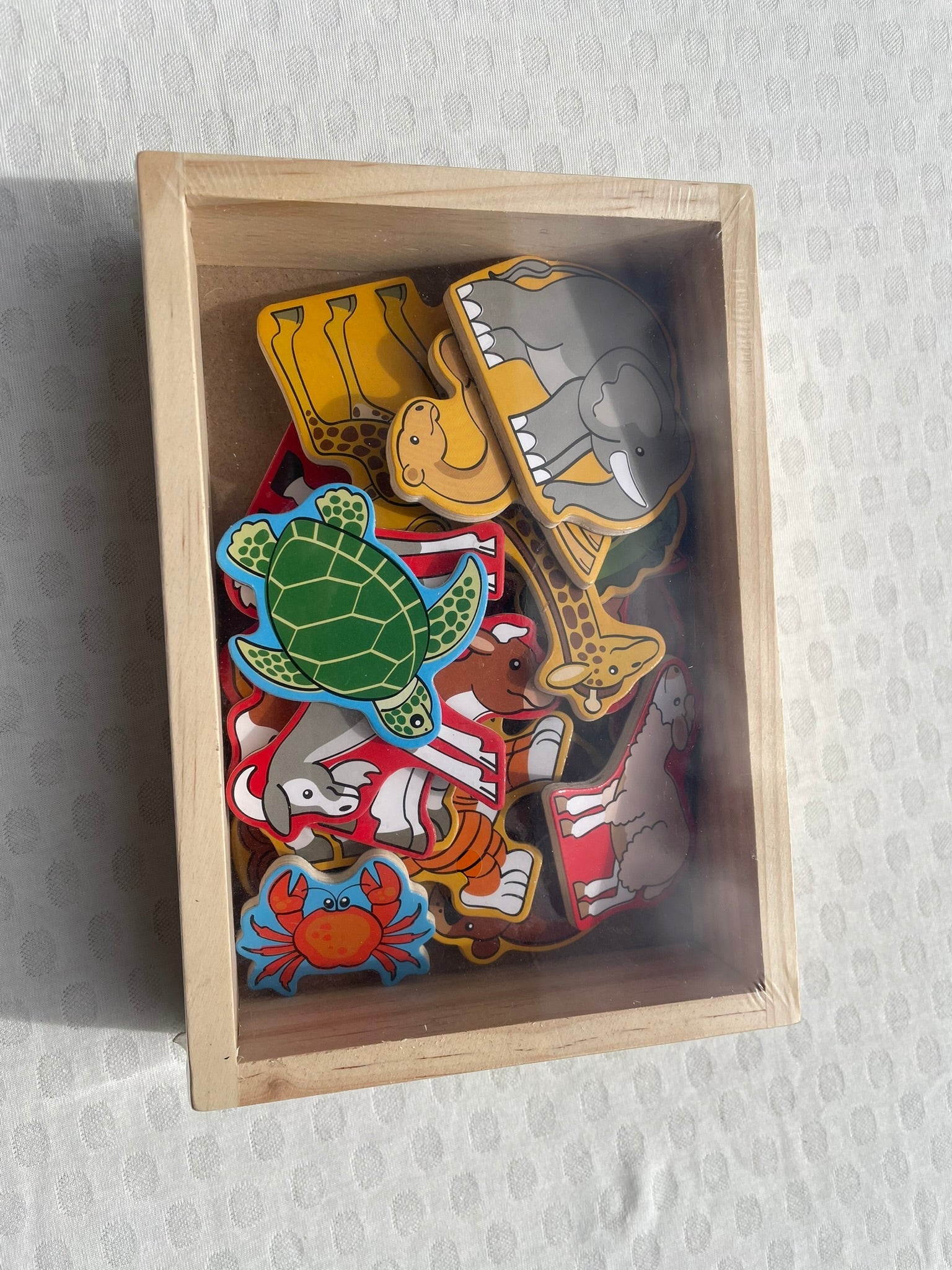 Wooden Jungle Animal Magnets In a Box