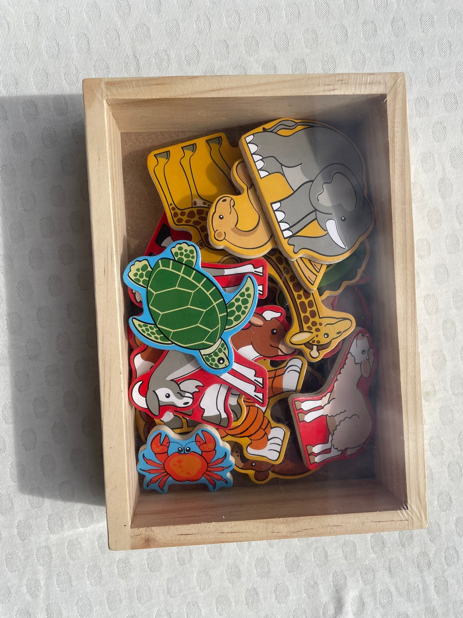 Wooden Jungle Animal Magnets In a Box