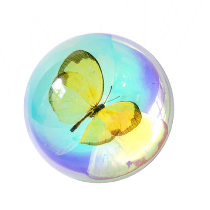 Butterfly Scorpion Spider Specimen Resin Hemisphere Domes Insects Bugs  Circular Blocks Science Toy