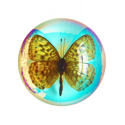 Butterfly Scorpion Spider Specimen Resin Hemisphere Domes Insects Bugs  Circular Blocks Science Toy