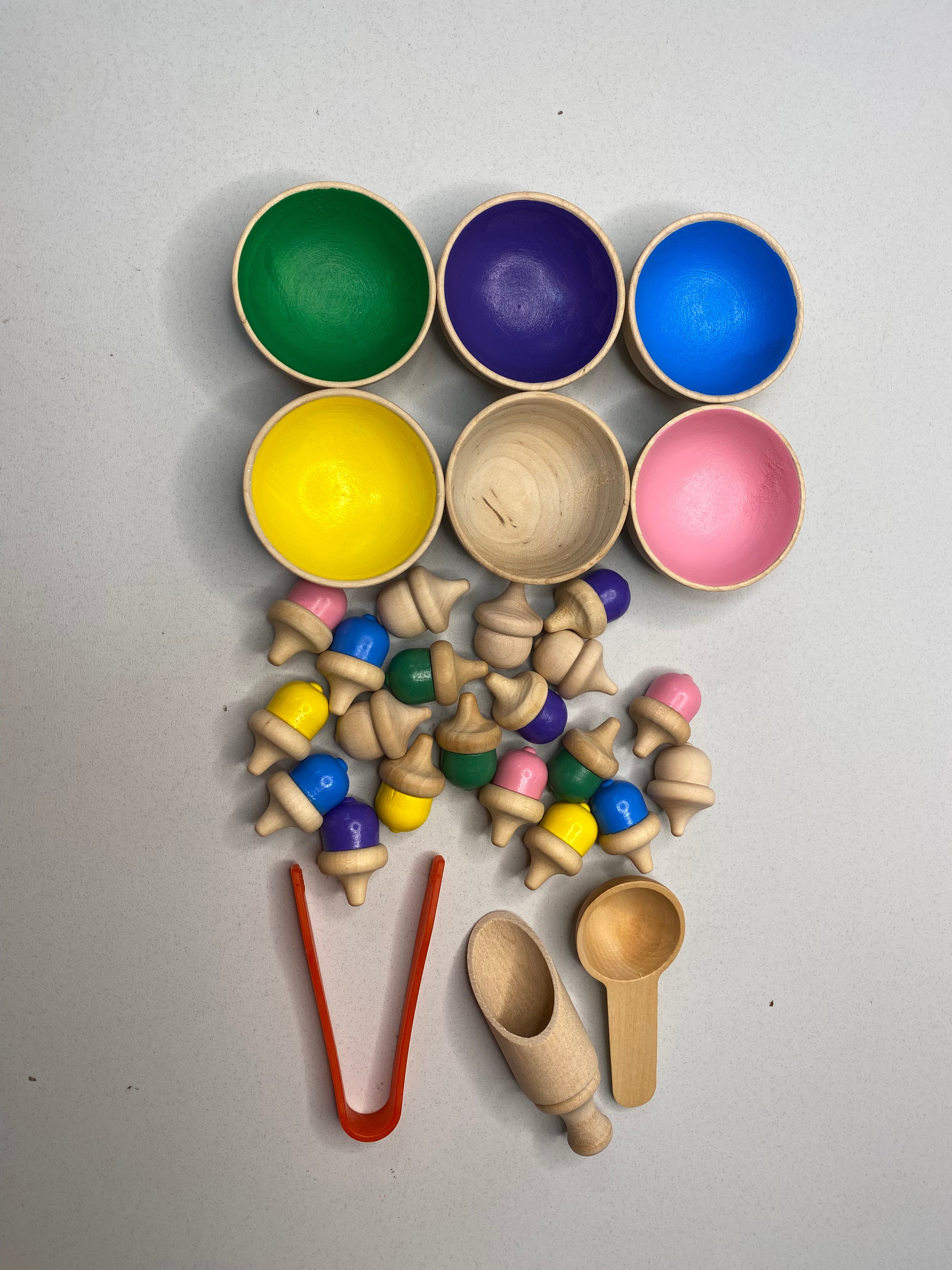 Colour Sorting Gumnuts and Bowls with Tools