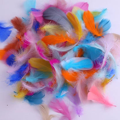 Short Feather Mixed Colour Pack of 100