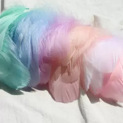 Short Feather Mixed Colour Pack of 100