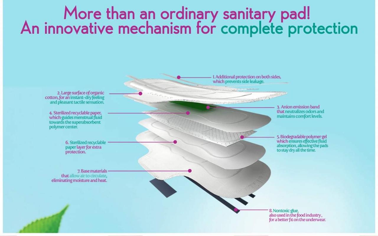 Lady Anion - 290 mm - LA1