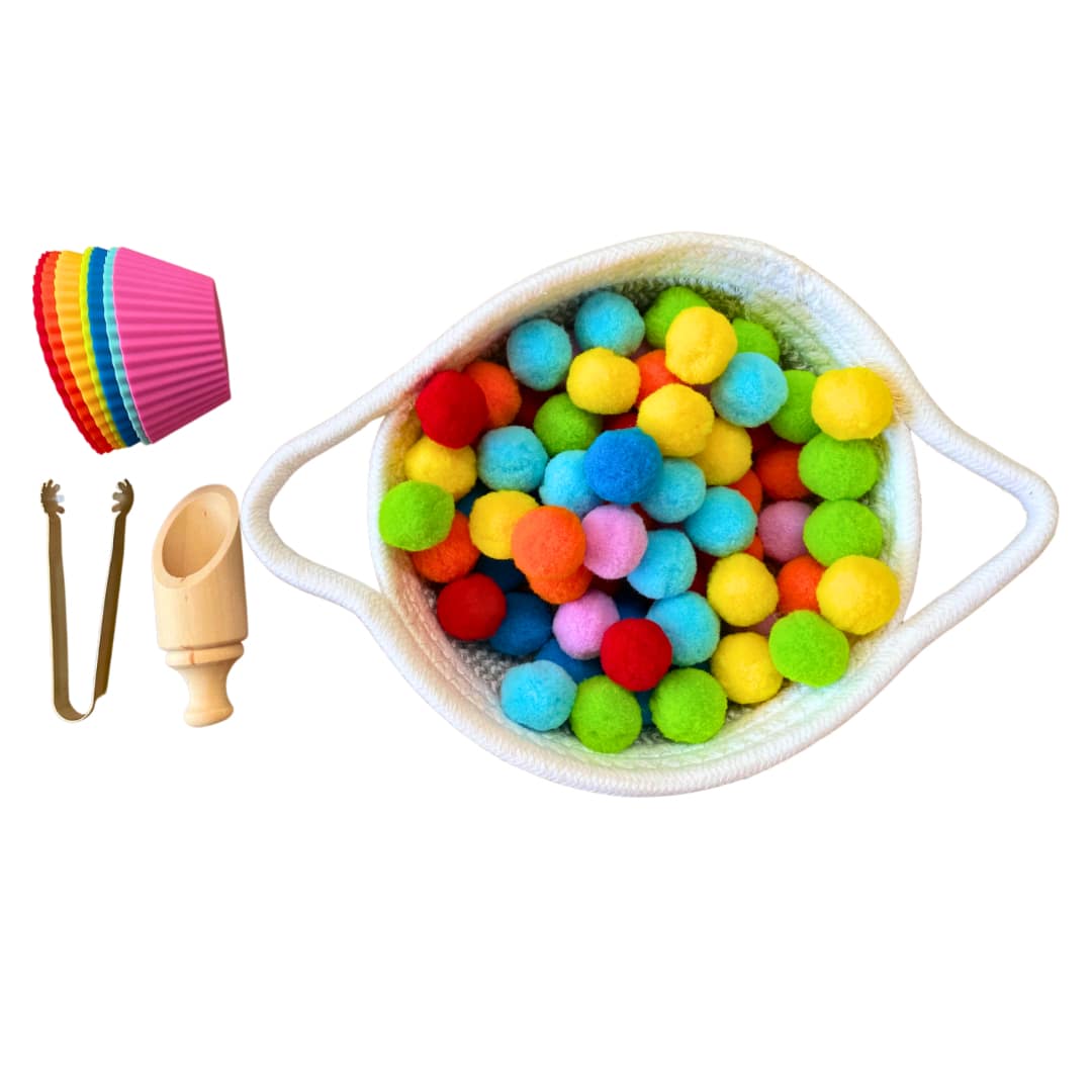 Montessori Kids  Pom Poms Transfer Activity  Colour Ball in a Basket Sorting Activity