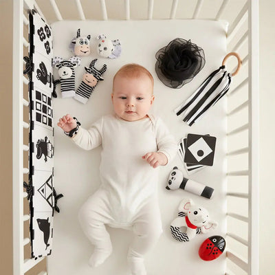 Juguetes sensoriales en blanco y negro para recién nacidos de 0 a 6 meses - Set de desarrollo temprano