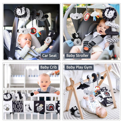 Baby Sensory Black & White Toy Set - Sensory Play for Infants