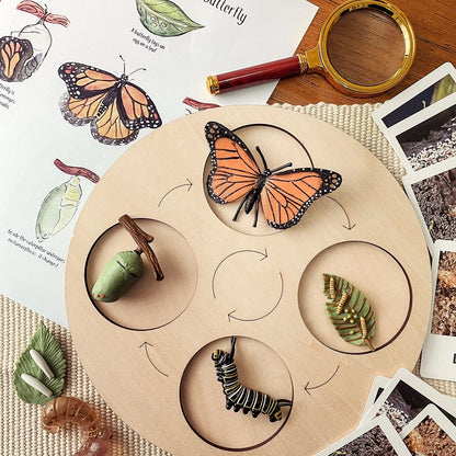 Animal Growth Cycle Tray