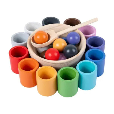 Montessori Rainbow Colour Match