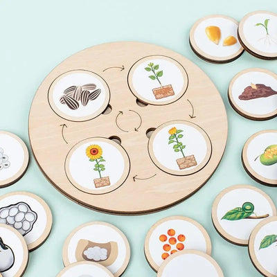 Fidtoy Nature Evolution Game – Montessori Wooden Life Cycle Board for Kids Ages 3-6