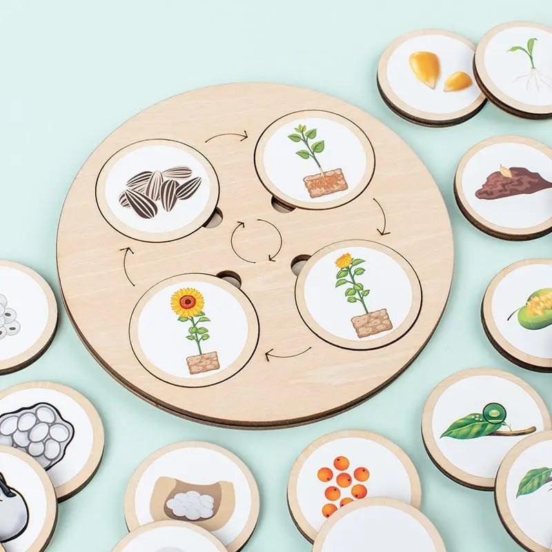 Fidtoy Nature Evolution Game – Montessori Wooden Life Cycle Board for Kids Ages 3-6
