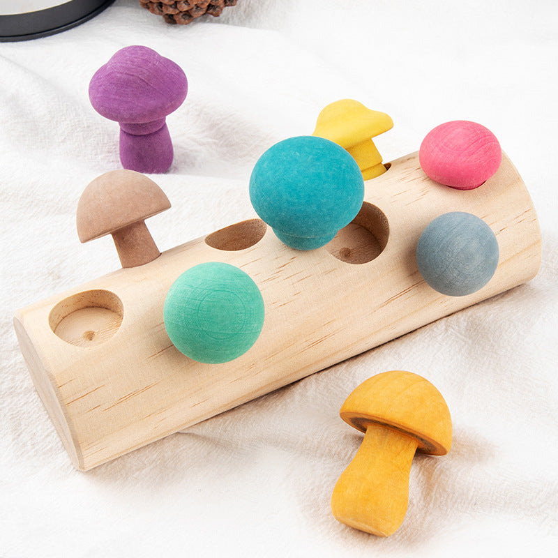 Montessori Baby Puzzle
