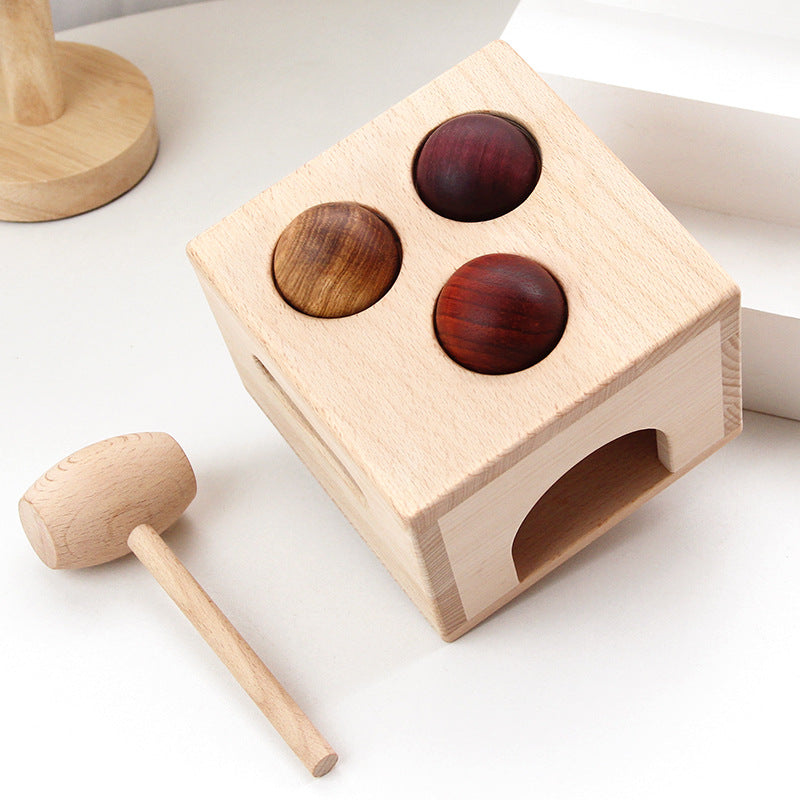 Premium Natural Wood Educational Toy Set