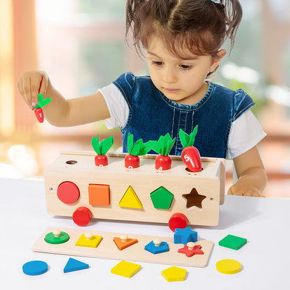 5 in 1 Classification Colour Shape Sorting Box Montessori inspired Kids Wooden Toy