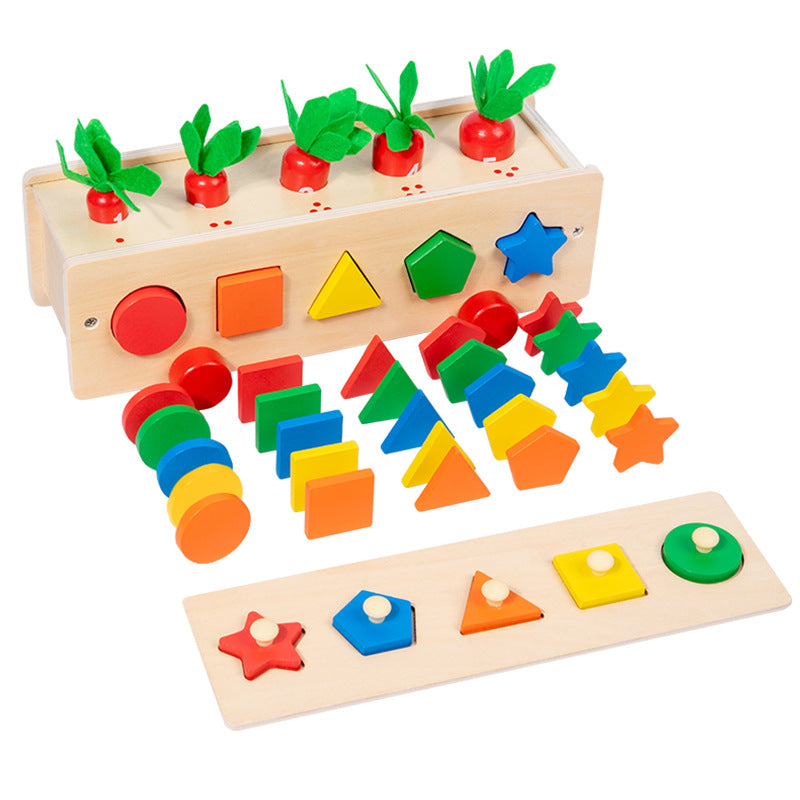 5 in 1 Classification Colour Shape Sorting Box Montessori inspired Kids Wooden Toy